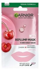 Garnier Skin Naturals prinkust lisav kangasmask huultele, kirsiga, 5 g цена и информация | Маски для лица, патчи для глаз | kaup24.ee