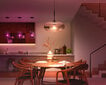 Philips Hue White and Color ambiance 1600lm A60 E27 ZB+ BT hind ja info | Lambipirnid, lambid | kaup24.ee