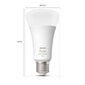 Philips Hue White and Color ambiance 1600lm A60 E27 ZB+ BT цена и информация | Lambipirnid, lambid | kaup24.ee