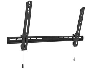 M Universal Wallmount Tilt Air Large Black hind ja info | Teleri seinakinnitused ja hoidjad | kaup24.ee