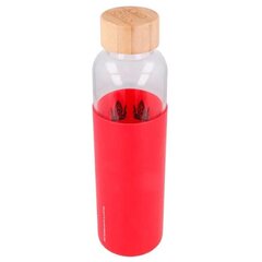Стеклянная бутылка c силиконовым чехлом Властелин Колец, 585 мл цена и информация | Атрибутика для игроков | kaup24.ee