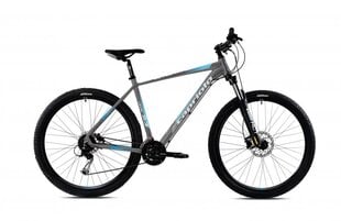 Горный велосипед Capriolo MTB Level 9.3 29", серый/синий цена и информация | Велосипеды | kaup24.ee