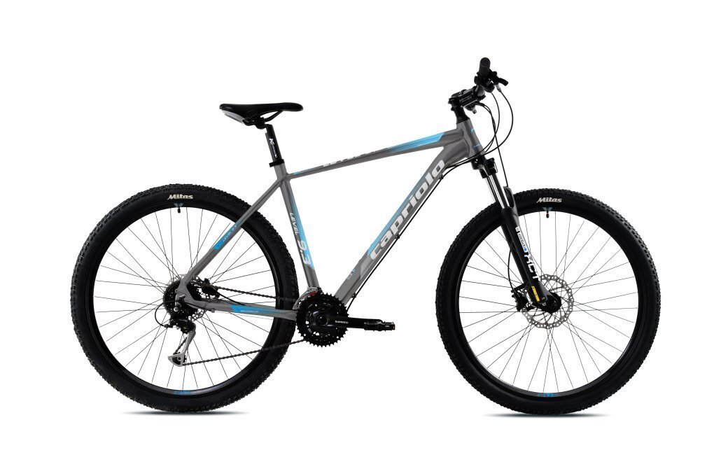 Maastikuratas Capriolo MTB Level 9.3 29", hall/sinine hind ja info | Jalgrattad | kaup24.ee