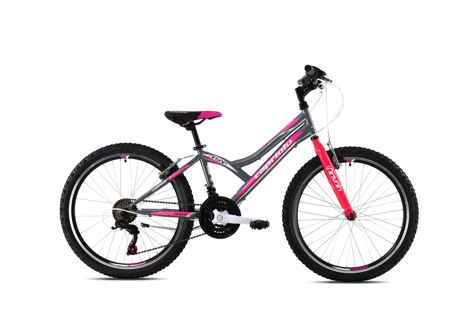 Laste jalgratas Capriolo MTB Diavolo 400 24", hall/roosa hind ja info | Jalgrattad | kaup24.ee