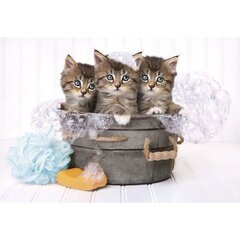 Пазл 180шт. «Lovely Kittens» (Милые котята) цена и информация | Пазлы | kaup24.ee