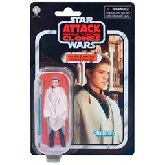 Star Wars talupojakostüümis Anakin Skywalkeri mänguasi figuur 10cm hind ja info | Poiste mänguasjad | kaup24.ee