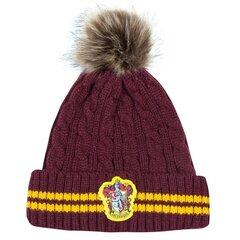 Harry Potter müts Gryffindor 20047 цена и информация | Мужские шарфы, шапки, перчатки | kaup24.ee