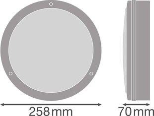 Seina- ja laevalgusti Ledvance Surface Bulkhead 250, 10W, 3000K, 800lm цена и информация | Потолочные светильники | kaup24.ee