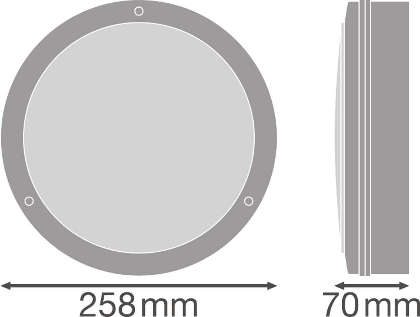 Seina- ja laevalgusti Ledvance Surface Bulkhead 250, 10W, 3000K, 800lm цена и информация | Laelambid | kaup24.ee