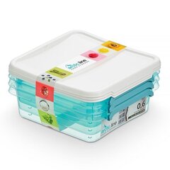 Toidu säilituskarpide komplekt Orplast Arctic Line Box, 0,6 l цена и информация | Посуда для хранения еды | kaup24.ee