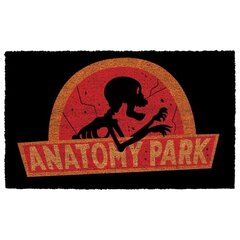 Uksematt A5 Rick ja Morty Anatomy Park hind ja info | Fännitooted mänguritele | kaup24.ee