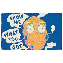 Rick ja Morty uksematt Show Me What You Got hind ja info | Vaibad | kaup24.ee