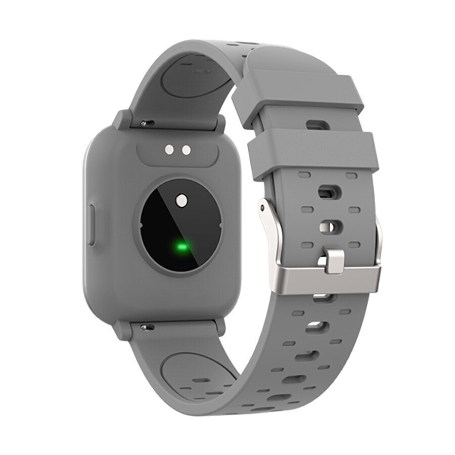 Denver SW-162 Grey цена и информация | Nutikellad (smartwatch) | kaup24.ee