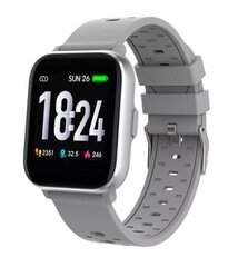 Denver SW-162 Grey hind ja info | Nutikellad (smartwatch) | kaup24.ee