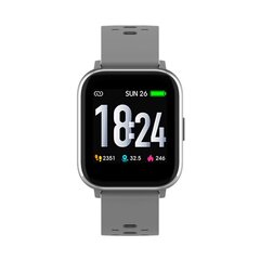 Denver SW-162, серый цена и информация | Смарт-часы (smartwatch) | kaup24.ee