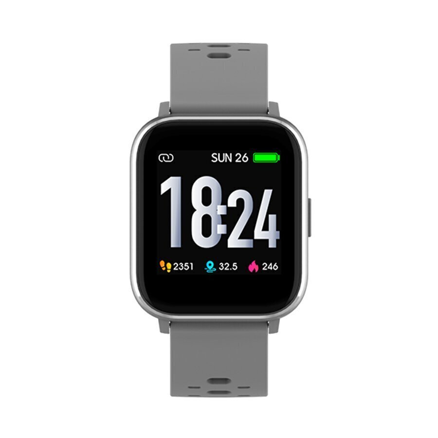 Denver SW-162 Grey цена и информация | Nutikellad (smartwatch) | kaup24.ee