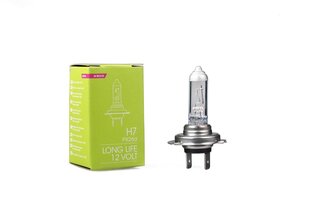 Autopirn M-Tech Long Life ZLL7 H7 12V 55W hind ja info | Autopirnid | kaup24.ee