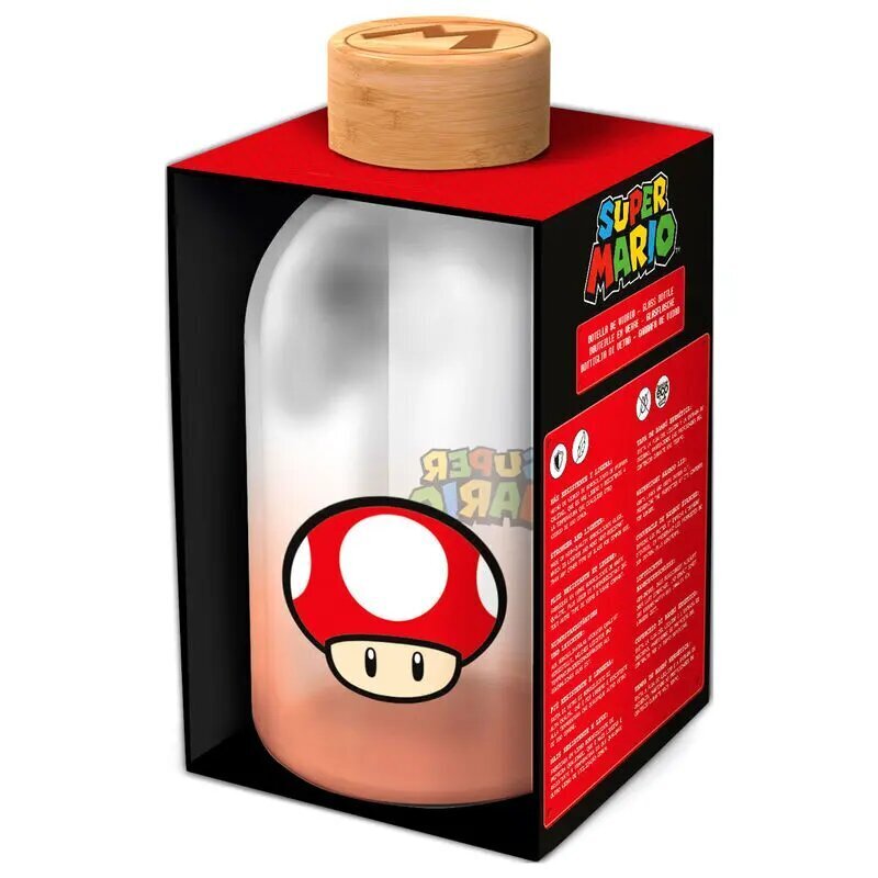 Nintendo Super Mario Bros Klaaspudel 620ml hind ja info | Joogipudelid | kaup24.ee