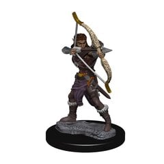 Миниатюра предварительно окрашенная Dungeons & Dragons (D&D) Icons of the Realms Premium Elf Ranger Case (6) цена и информация | Атрибутика для игроков | kaup24.ee