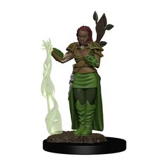 D&D Icons of the Realms Premium Miniatuur eelnevalt värvitud Human Female Druid Case (6) hind ja info | Fännitooted mänguritele | kaup24.ee
