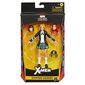 Marvel Legends sari mänguasi figuur Stepford Cuckoos hind ja info | Poiste mänguasjad | kaup24.ee