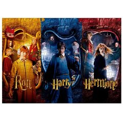 Harry Potter pusle 1000 tk Ron, Harry, Hermione hind ja info | Pusled | kaup24.ee