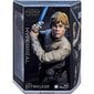 Star Wars: Luke Skywalker hyperreal figuur цена и информация | Poiste mänguasjad | kaup24.ee