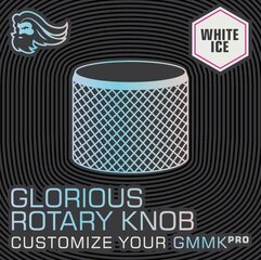 Glorious PC Gaming Race GMMK PRO Rotary Knob (White Ice) цена и информация | Клавиатуры | kaup24.ee