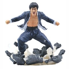 Diamond Select Bruce Lee Gallery Earth PVC цена и информация | Атрибутика для игроков | kaup24.ee