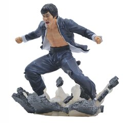 Diamond Select Bruce Lee Gallery Earth PVC hind ja info | Fännitooted mänguritele | kaup24.ee