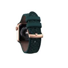 Ремешок для часов Njord Jörð для Apple Watch 40/41 мм, темно-зеленый цена и информация | Аксессуары для смарт-часов и браслетов | kaup24.ee