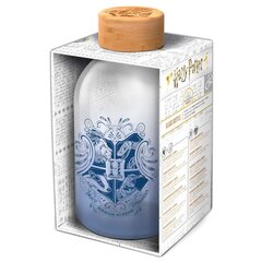 Harry Potter klaaspudel 620ml цена и информация | Атрибутика для игроков | kaup24.ee