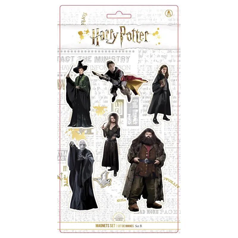 Harry Potter tegelaste komplekt 6 magnetit hind ja info | Kirjatarbed | kaup24.ee