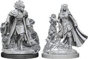 Неокрашенные миниатюры Dungeons & Dragons (D&D) Nolzur's Female Tiefling Sorcerer Case (6) цена и информация | Атрибутика для игроков | kaup24.ee