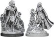 Värvimata miniatuuride komplekt D&D Nolzur's Marvelous Miniatures WizKids WZK90059, 1 tk. hind ja info | Fännitooted mänguritele | kaup24.ee