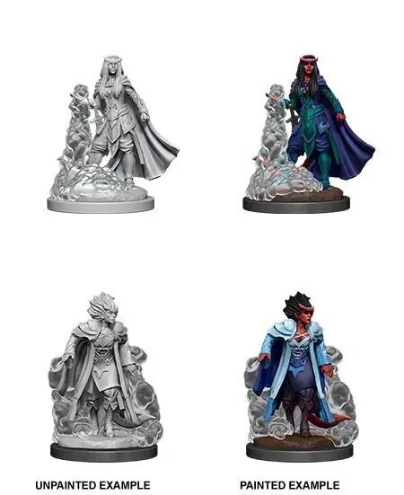 Värvimata miniatuuride komplekt D&D Nolzur's Marvelous Miniatures WizKids WZK90059, 1 tk. hind ja info | Fännitooted mänguritele | kaup24.ee