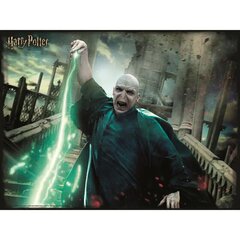 Harry Potter: Voldemort Prime 3D Pusle 300tk. hind ja info | Pusled | kaup24.ee
