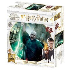 Harry Potter: Voldemort Prime 3D Pusle 300tk. цена и информация | Пазлы | kaup24.ee