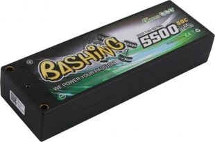 Аккумулятор LiPo Gens Ace, 5500 мАч цена и информация | Аккумуляторы | kaup24.ee