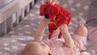 Pehme mänguasi K's Kids Baby hind ja info | Imikute mänguasjad | kaup24.ee