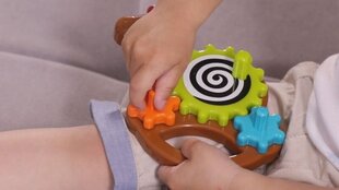 K's Kids Keera hobust hind ja info | Imikute mänguasjad | kaup24.ee