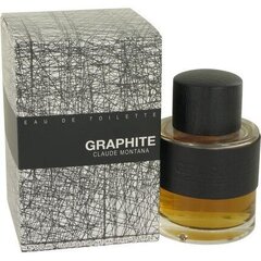 Meeste parfüüm Graphite Montana EDT (100 ml) hind ja info | Meeste parfüümid | kaup24.ee