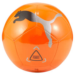 Jalgpallipall Puma Icon, oranž hind ja info | Jalgpalli pallid | kaup24.ee