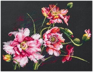 Tikkimiskomplekt Magic Needle "The Mystery of Poppies" 210-192 hind ja info | Tikkimistarvikud | kaup24.ee