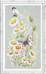 Tikkimiskomplekt Magic Needle "Summer Glade" 42-12 hind ja info | Tikkimistarvikud | kaup24.ee