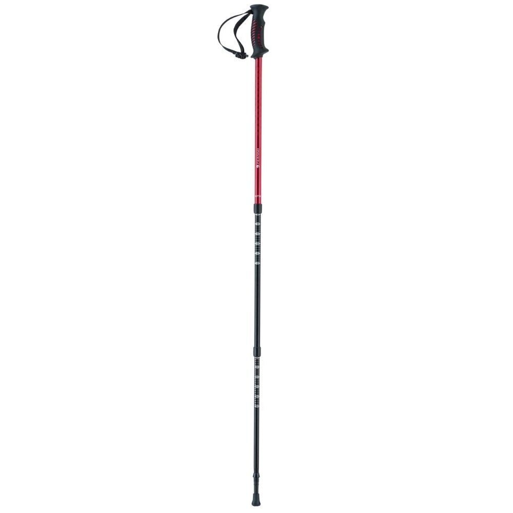 Jalutuskepp Trekking Poles Ferrino GTA New цена и информация | Käimiskepid | kaup24.ee