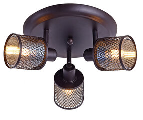 Candellux lighting светильник Canabera 98-83098 цена и информация | Потолочные светильники | kaup24.ee
