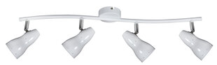 Candellux lighting светильник Fiord цена и информация | Потолочные светильники | kaup24.ee