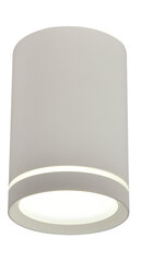 Candellux lighting светильник Tuba цена и информация | Потолочные светильники | kaup24.ee