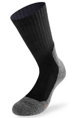 Мужские носки Lenz Trek 5.0 + Merino / 2 пары цена и информация | Meeste sokid | kaup24.ee